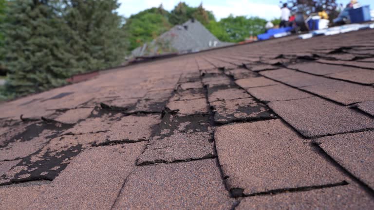 Best Tile Roofing Installation  in Ham Lake, MN