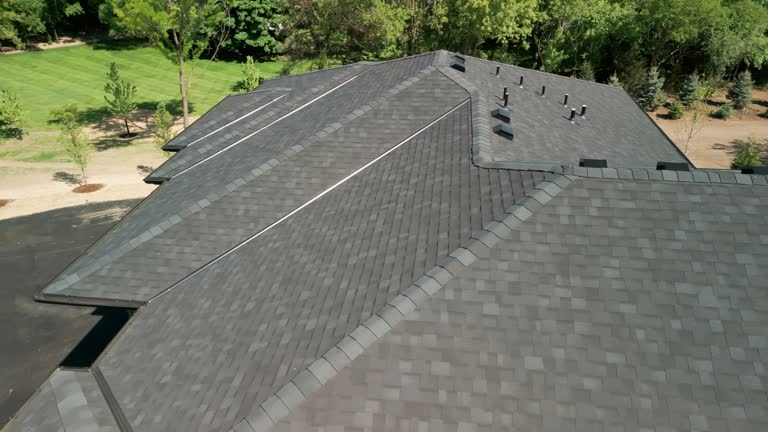 Best Metal Roofing Installation  in Ham Lake, MN