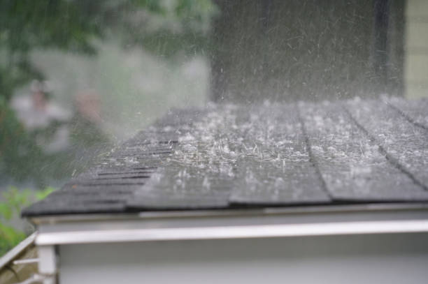 Best Solar Panel Roofing Installation  in Ham Lake, MN